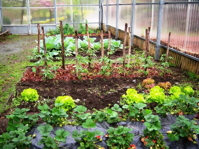  Garten, sei vorsichtig 
